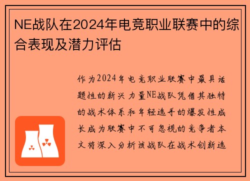 NE战队在2024年电竞职业联赛中的综合表现及潜力评估